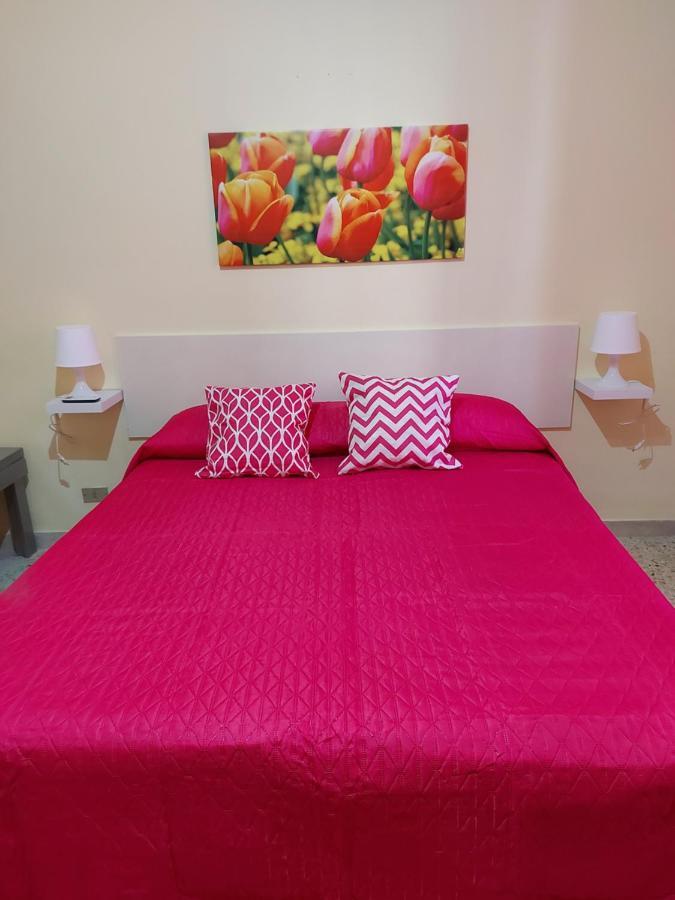 Al 25 Tulipani Daire Cefalù